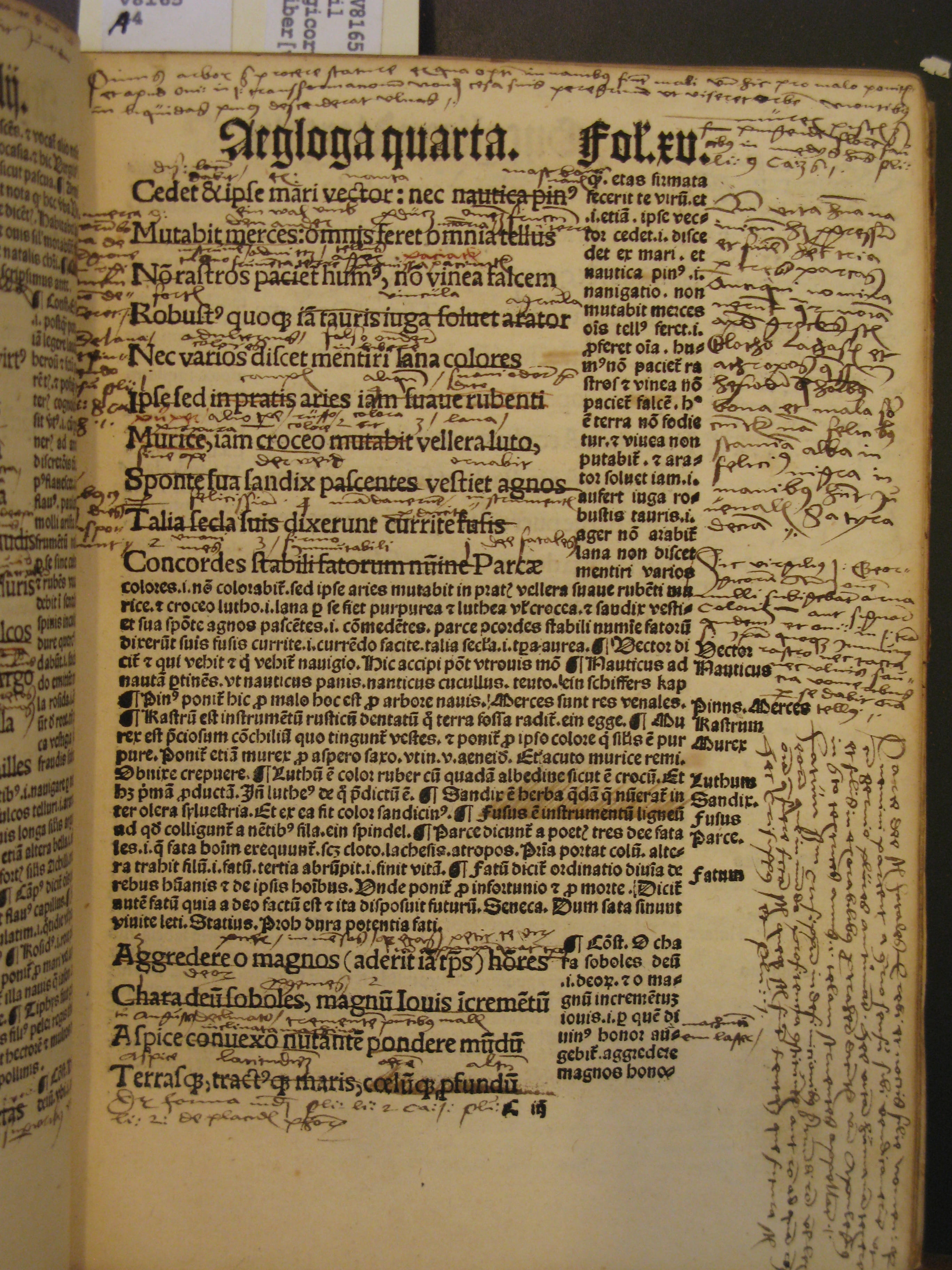 Annotations between the lines and in the margins of Virgil's Eclogues. This book will be displayed at the New York Society Library's upcoming exhibition, "Readers Make Their Mark," Feb. 5 - Aug. 15.