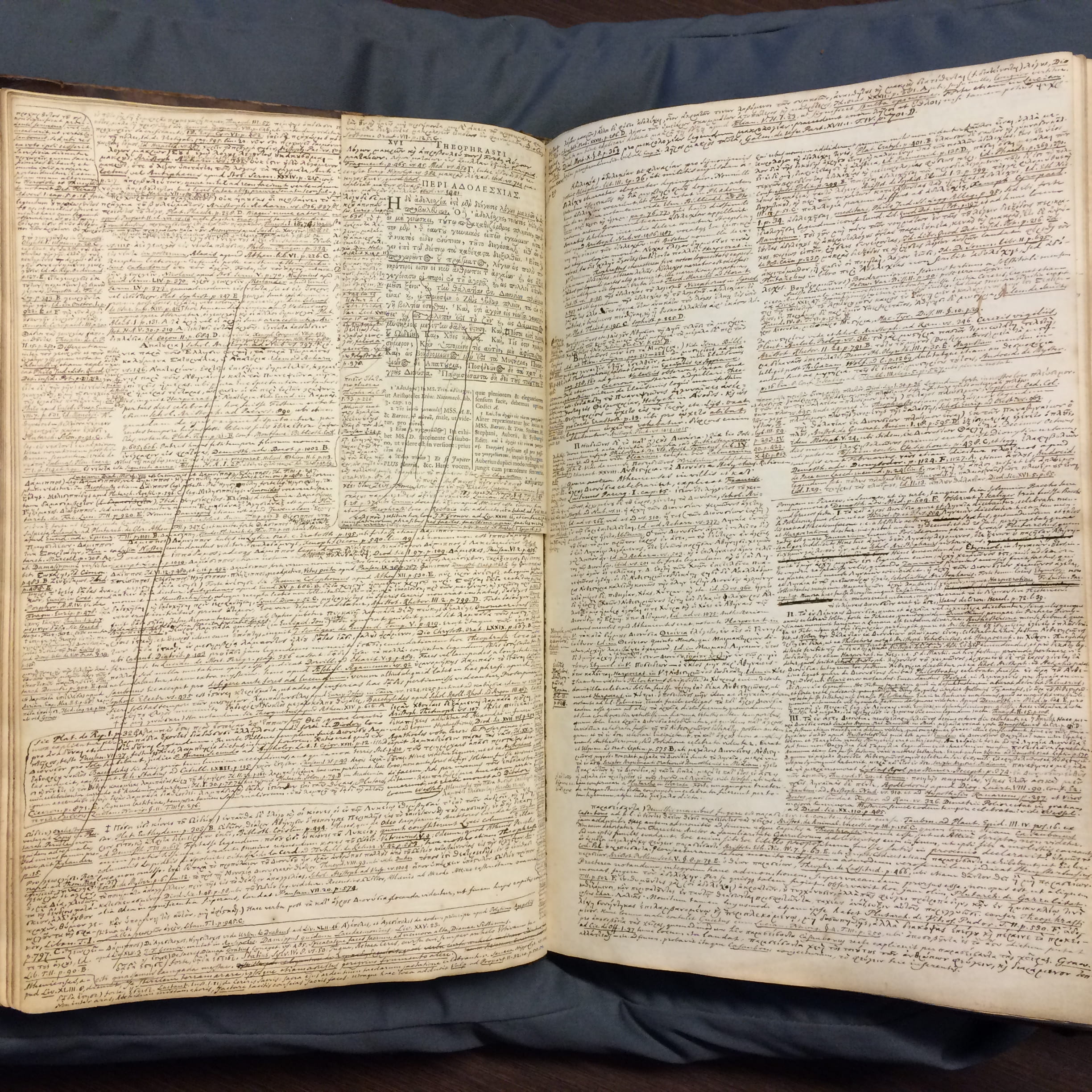 Fontein's working notes on Theophrastus. By permission of the Special Collections of the University of Amsterdam. Shelf mark: OTM Hs. XVI A5.