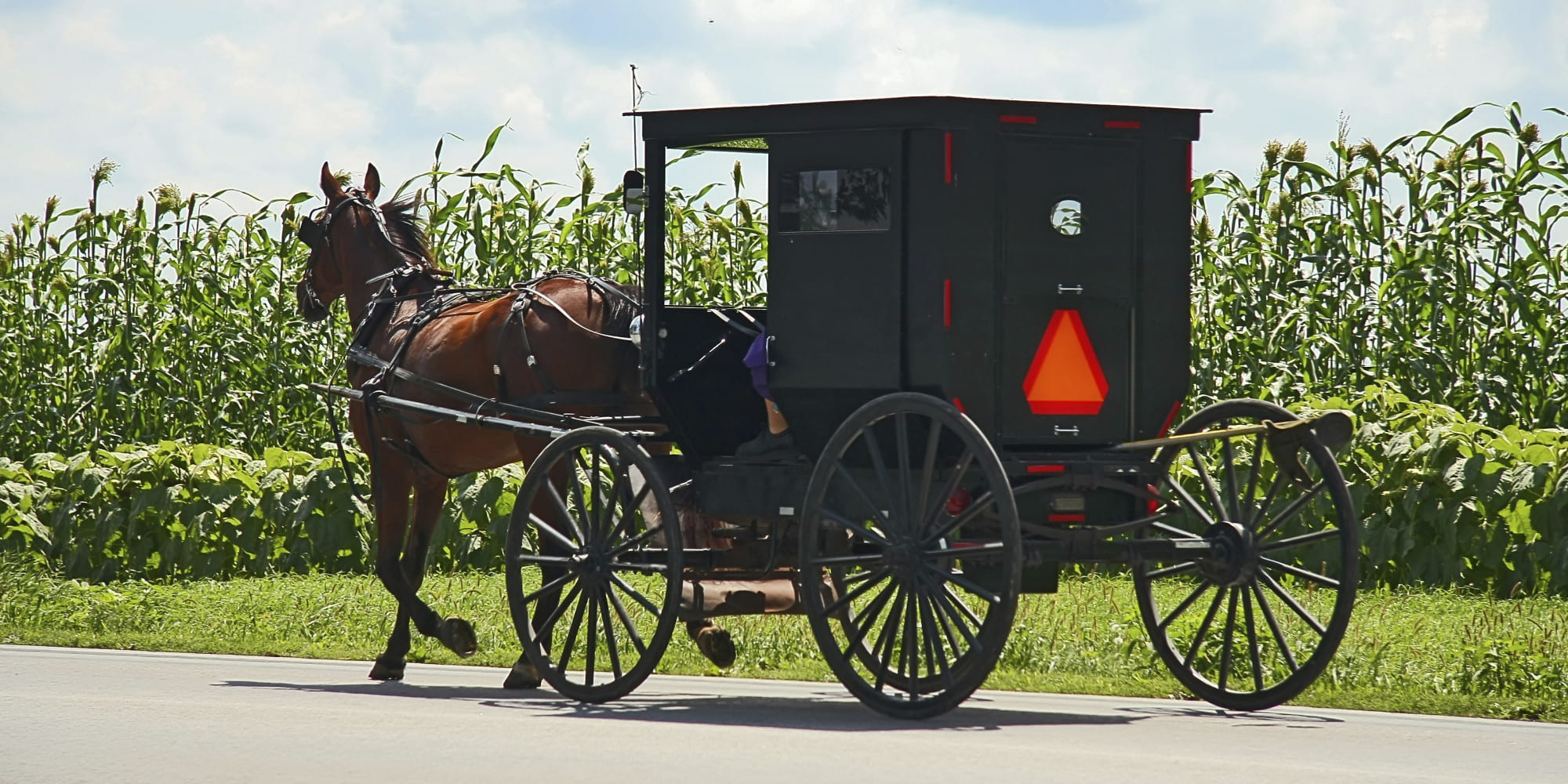 “Horse-and-buggy” Anabaptists like the Amish are often portrayed as relics of an earlier age (Huffington Post)