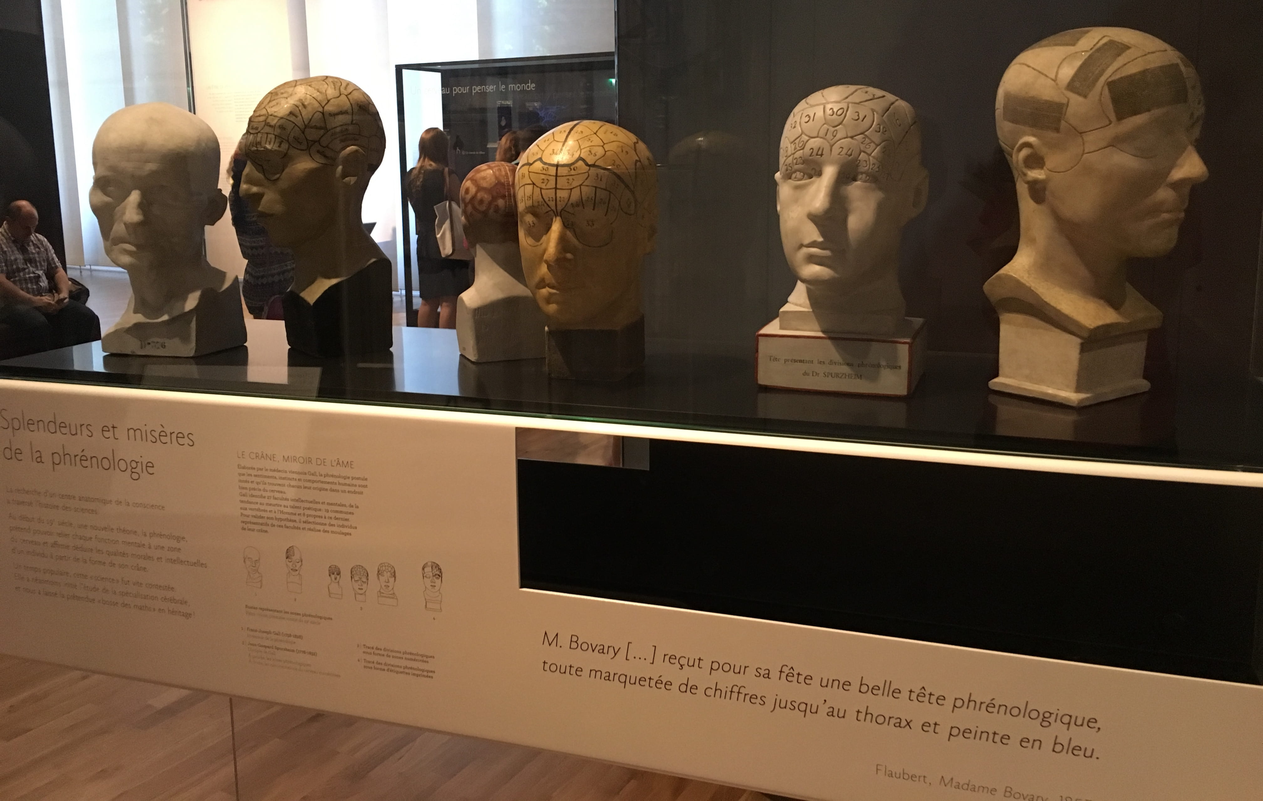 Phrenological busts repurposed to show the failings of such methodology (author photo)